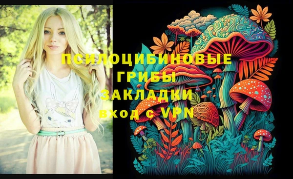 индика Надым
